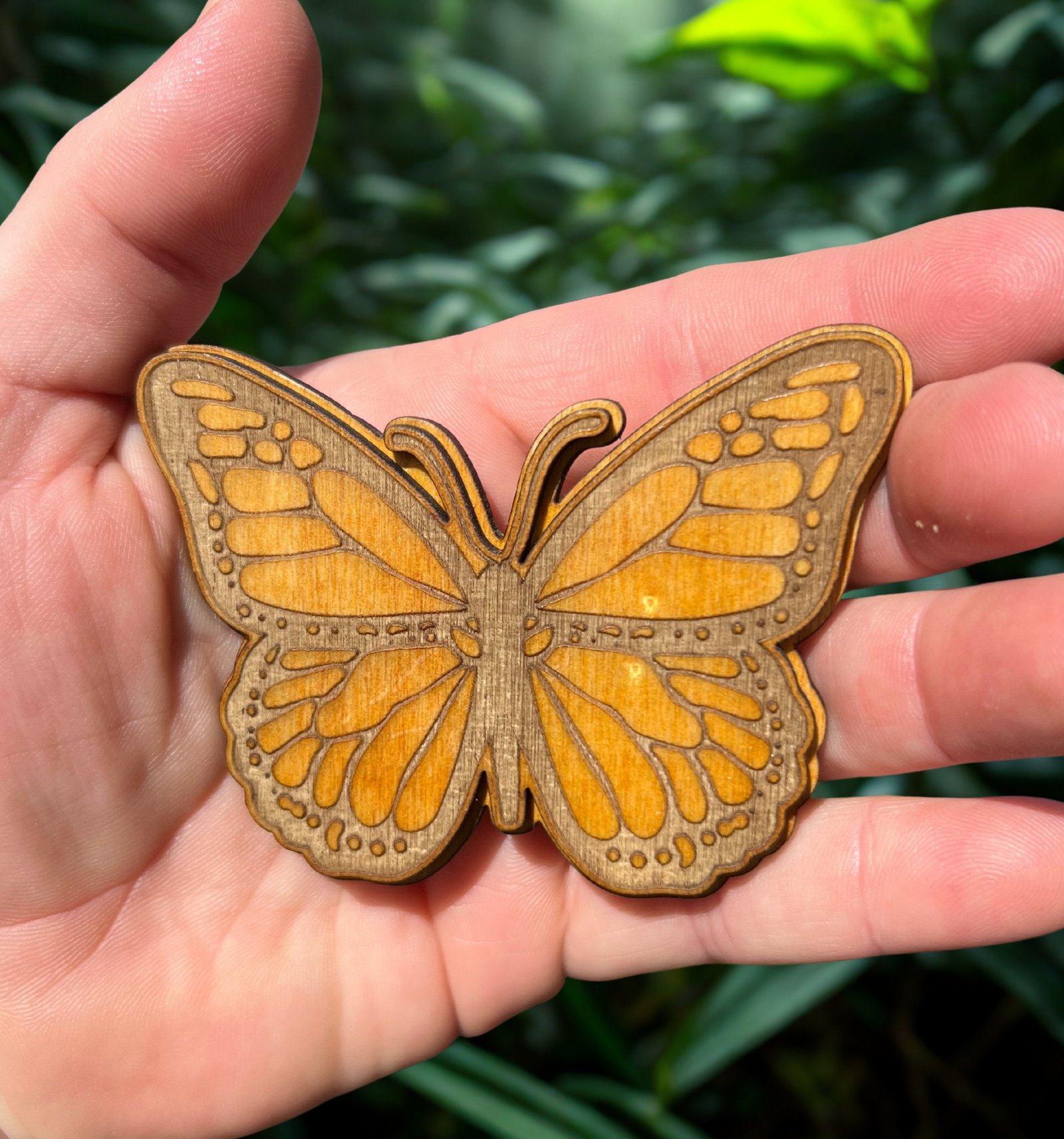 Layered Butterfly Magnet